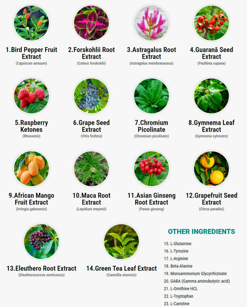 MetaBurst Ingredients Label