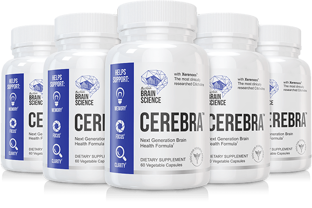 Boston Brain Science Cerebra Reviews