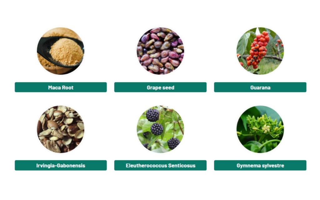 GlycoClean Ingredients Label